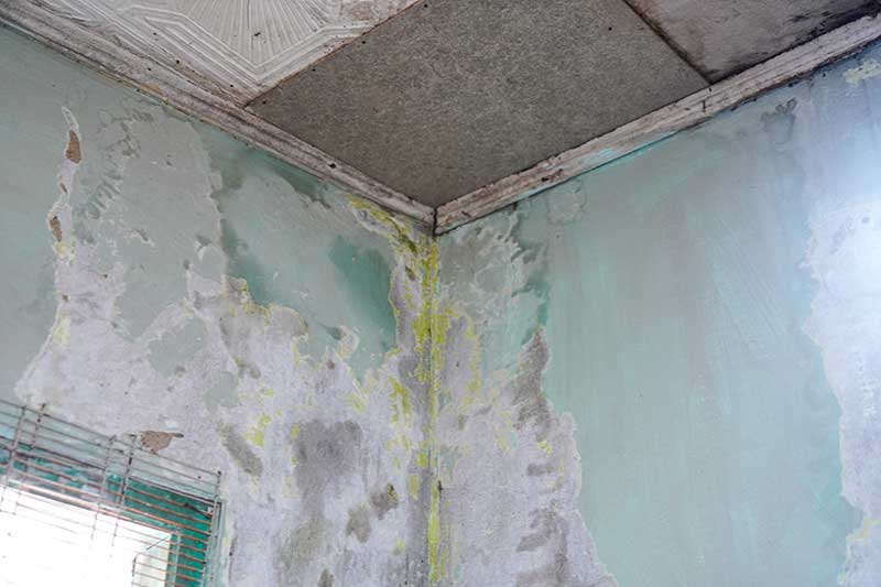 water damage restoration contractor